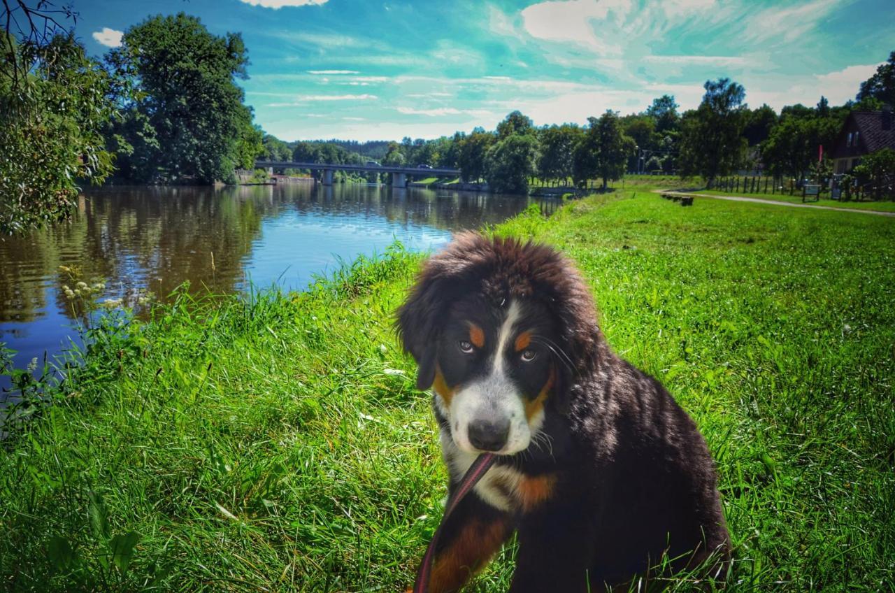 Camping Prima Týn nad Vltavou Buitenkant foto